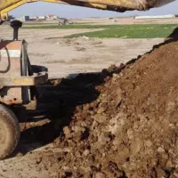 کودگاوی کهنه وتازه