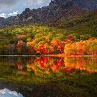 فروش واحد ۱۶۰متری ایده عال تک واحدی