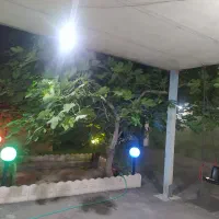حیاط دراشرفی لاله