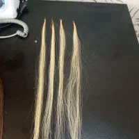 موی طبیعی|آرایشی، بهداشتی، درمانی|فردیس, شهرک ناز|دیوار