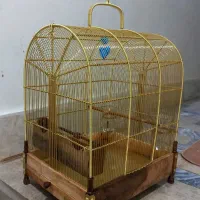 قفس سیره برنجی کار دست دهندار|لوازم جانبی حیوانات|بروجرد, |دیوار