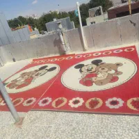 دوعدد فرش ۶متری