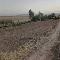 اجاره زمین کشاورزی