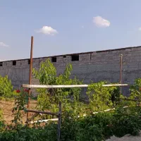 فروش-باغ