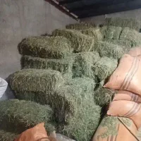 یونجه بسته ای