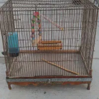 قفس برنجی انتیک