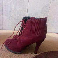 نیم پوت مجلسی،شیک