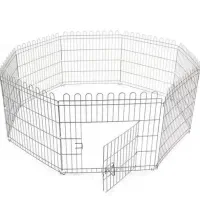 پارک مناسب سگ و خرگوش