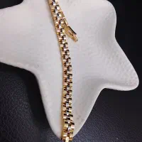 بدلیجات شاین