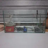 آکواریوم سایزمتوسط|ماهی|مشهد, فریزی|دیوار