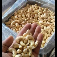 فروش بادام هندی۲۴۰ ومغزبادام بصورت عمده