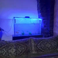 9400متر-زمین-حاشیه-شاهنامه14-دور-دیوار-کاشی-فیروزه