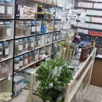 قفسه عطاری|کتابخانه، شلف، قفسههای دیواری|قم, شاه ابراهیم|دیوار