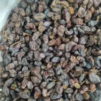 کشمش مخصوص ابگیری|خوردنی و آشامیدنی|لاهیجان, قیام|دیوار