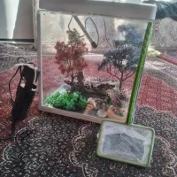 آکواریوم با دستگاه اکسیژن‌ساز