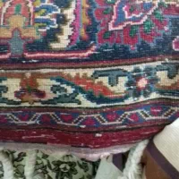 فرش|فرش|مشهد, اقبال|دیوار
