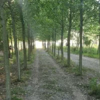 طبیعت گردی