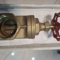 شیر برنجی