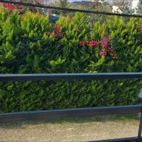 فروش ویلای نقلی در دو طبقه مجزا سندششدانگ کتالم