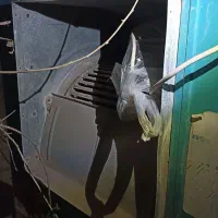 وسایل سرمایشی