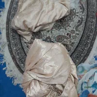 پرده|پرده، رانر، رومیزی|اهواز, کوی مهدیس|دیوار