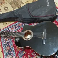 گیتار مناسب برای آموزش
