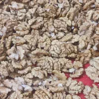 کار مخصوص بانوان