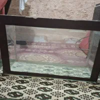 اکفاریوم در حد نو|ماهی|سبزوار, هویزه|دیوار