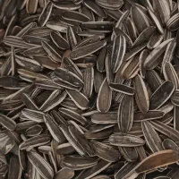 استاد کار تخمه پزی و کارگر ساده نیازمندیم|استخدام خدمات فروشگاه و رستوران|کرمانشاه, |دیوار