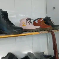 نیمبوتزنانهوبچهگانه|کیف، کفش، کمربند|الیگودرز, |دیوار