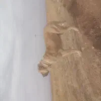 این سگ گم شد|حیوانات|نیشابور, جمهوری|دیوار