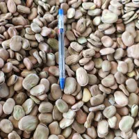 سلام  باقالی. شهرستان طارم