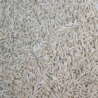 جو آبی