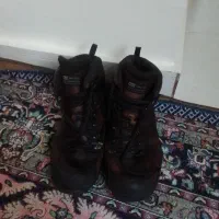 کفش کوه نوردی