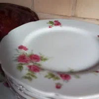 گل سرخ ژاپن|ظروف سرو و پذیرایی|سبزوار, توحیدشهر|دیوار