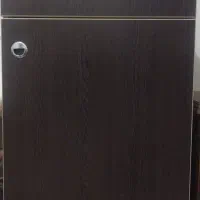 آینه قدی و ترولی