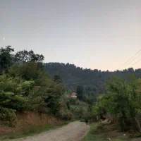 اجاره شبانه سالیانه ویلا جنگلی میخوایی تماس بگیر