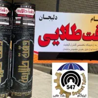 دقت طلایی