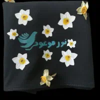 نقاشی پارچه و دوخت|لباس|خمینی‌شهر, |دیوار