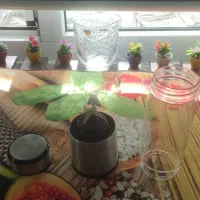 شیکر شارژی