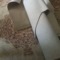 موکت پالارز