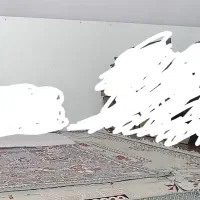 آینه قدی|آینه|مشهد, شهید معقول|دیوار
