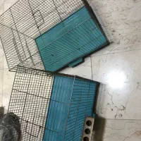 قفس پرنده