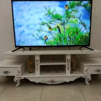 تلویزیون ۴۹ اینچ صنام