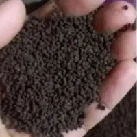 چای آلویس هندی کله مورچه ای|خوردنی و آشامیدنی|اهواز, کارون|دیوار