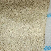 برنج چمپا میداوود