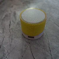 اسپیکر همراهی
