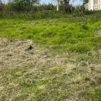 زمین /فروش فوری / ساحلی /سند دار