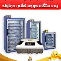 نمایندگی دستگاه جوجه کشی بلدرجین دماوند در رشت