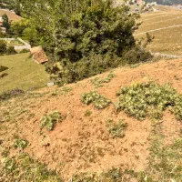 زمین روستای رجه